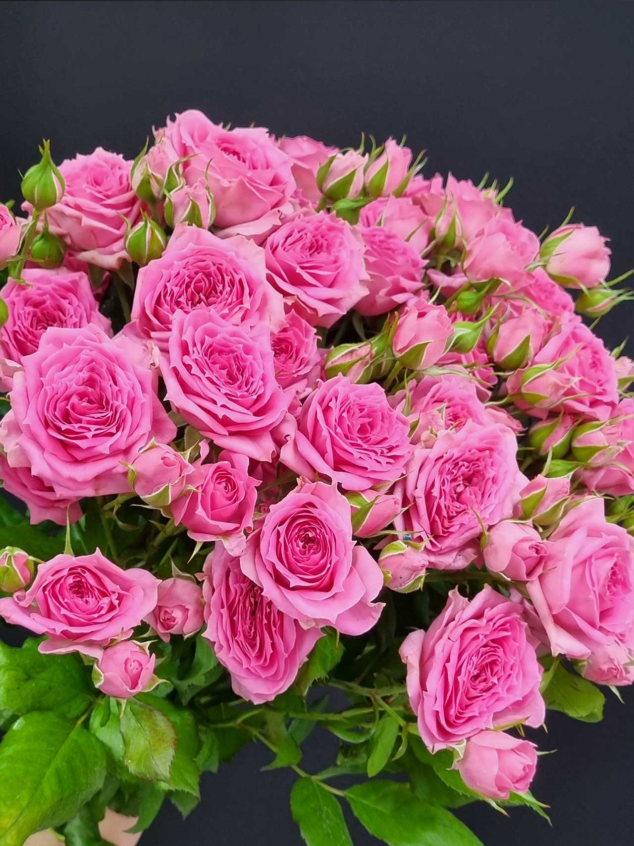 Цветы штучно: Роза кустовая Pink Demension