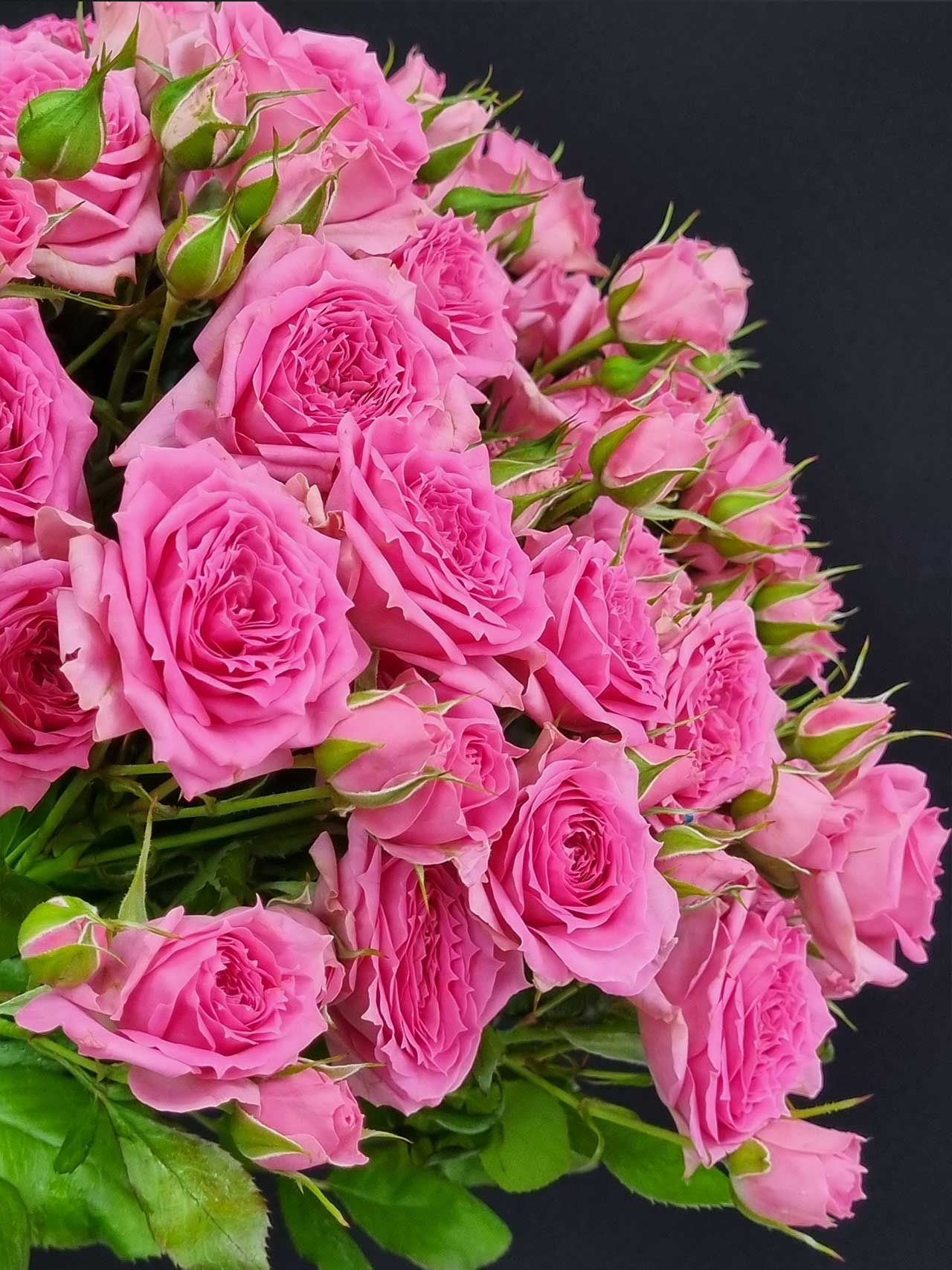 Цветы штучно: Роза кустовая Pink Demension