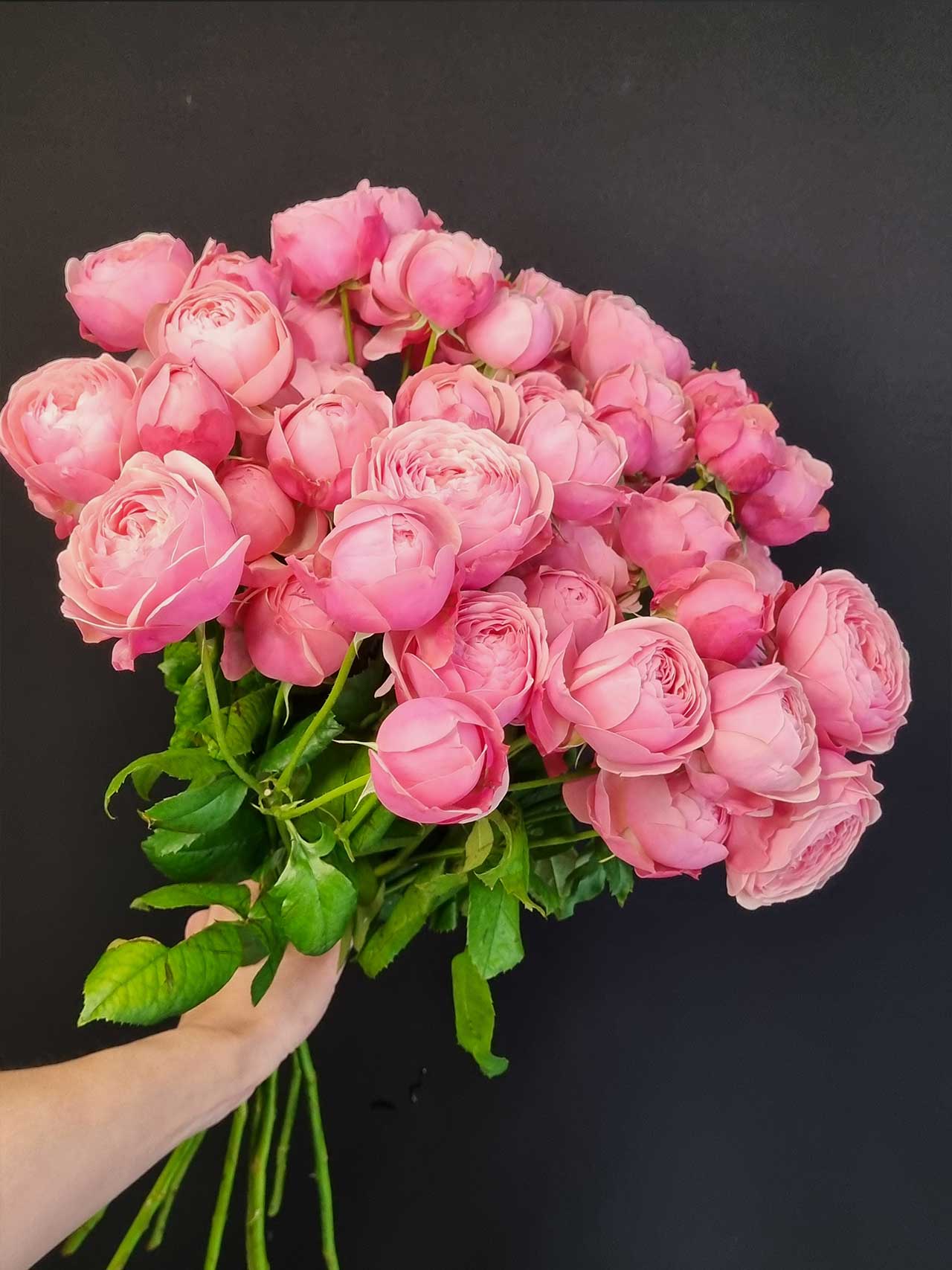 Цветы штучно: Роза кустовая Silva Pink