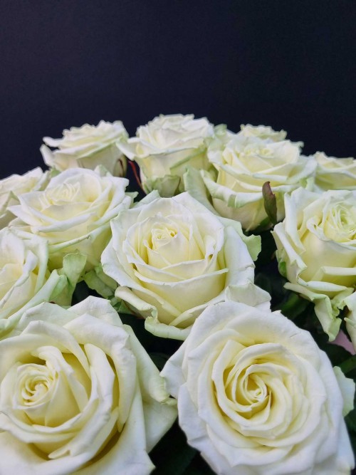 Букет «11 роз White Naomi»