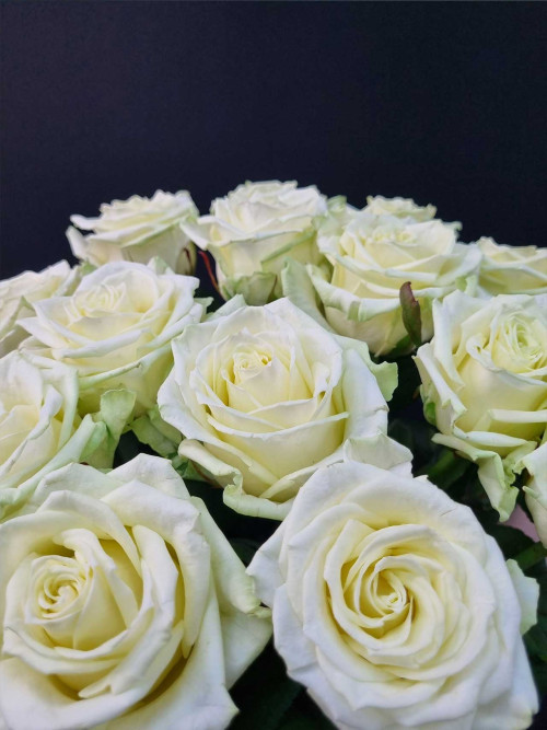 Букет «25 роз White Naomi»