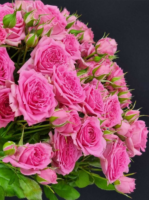 Цветы штучно: Роза кустовая Pink Demension