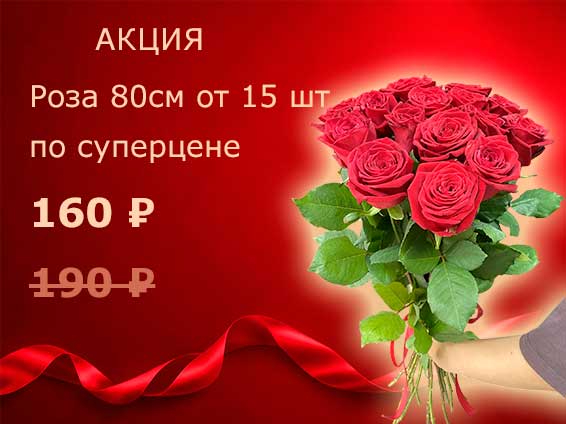 Акция на красную розу 80 см