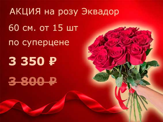Роза Эквадор по суперцене