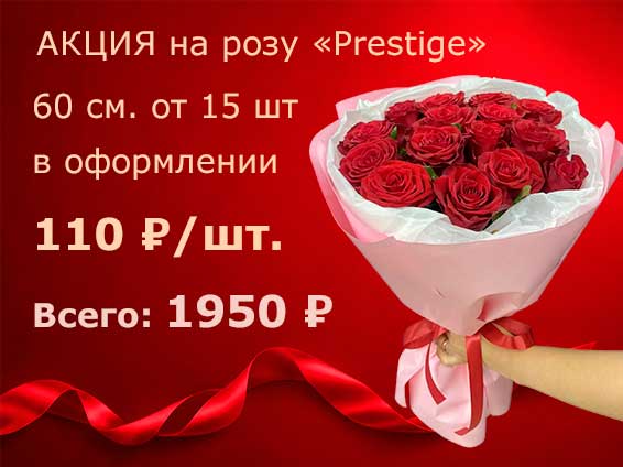 Роскошные розы «Prestige» 60 см всего за 110 ₽/шт.