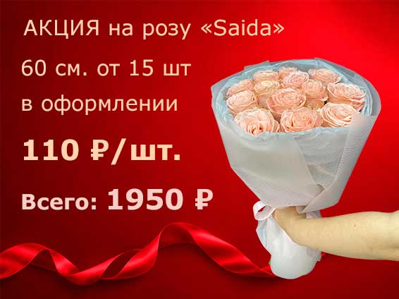 Нежнейшие розы «Saida» 60 см всего за 110 ₽/шт.