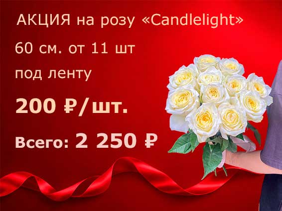 11 роз Candlelight по суцперцене!